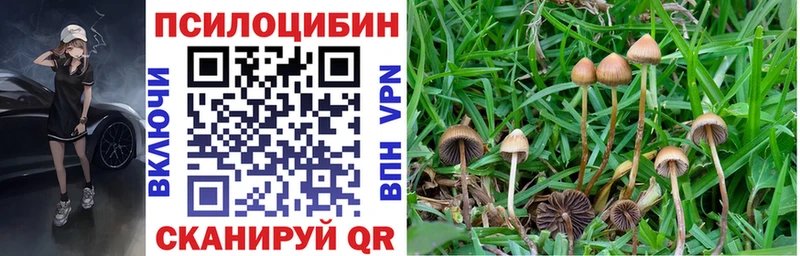 Псилоцибиновые грибы GOLDEN TEACHER  Пошехонье 
